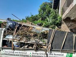 Same-Day Junk Removal Services in Humboldt, IA